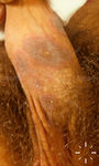 V7584-K-01372