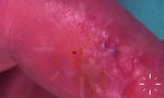 S7584-K-0548