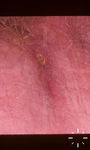 F7584-K-02236
