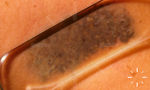 V7584-K-02519