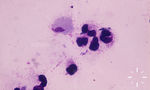 S7584-K-2054