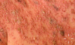 S7584-K-2696