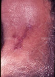 S7584-K-2369