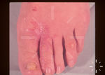F7584-K-03560