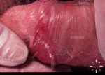 V7584-K-03616
